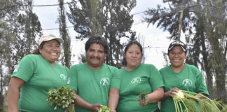 Chinampa cooperativa gana sello de oro