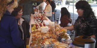 Salud, nutrición y belleza con Solactive