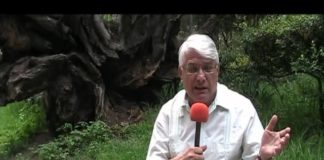 ¡Monopolios tras la banda ancha!