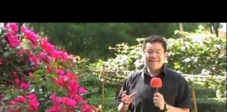 ¡El mercado del trueque!