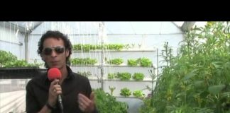 ¡Educación ambiental, hortalizas orgánicas e hidropónicas!