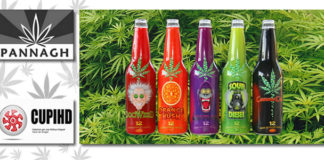 Industrias, Cooperativas y Clubes Sociales Cannábicos generarían miles de empleos