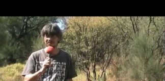 ¡Y después al mercado del trueque!