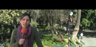 ¡Feliz inicio de la década cooperativista!