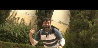 ¡Armas de reforestación masiva y bombas de semillas!