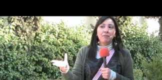 ¡Aguas con el PRONASOL copeteado!