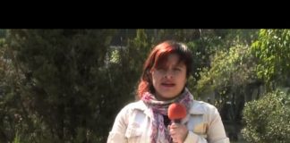 ¡Movimientos sociales importantes para defender nuestros derechos!