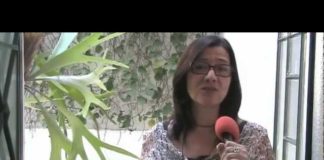 ¡Carlos Slim y Bill Gates dan espaldarazo a transgénicos!