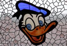 Voz de la Experiencia Cooperativa 2013