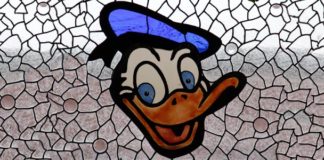 Voz de la Experiencia Cooperativa 2013