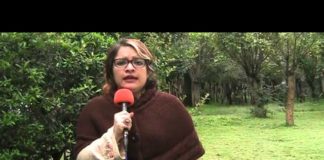 ¡Bueno, bonito y autónomo!…