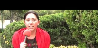 Estado, responsable de garantizar la alimentación