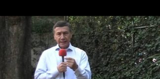 Transgénicos ni maíz… ni soya, ni algodón…