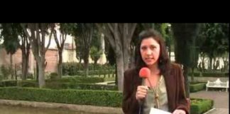 Crisis de precios afecta producción nacional de granos básicos