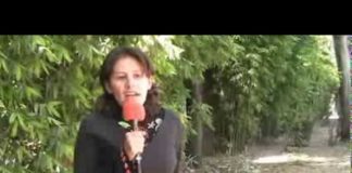 Ciudadanos planean instalar primera banqueta saludable