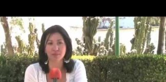 ¡Primavera mexicana en crisis!…