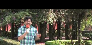 ¡Monumento a la puerquez humana!