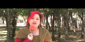 Limpieza social en el DF, denuncia la Bartola