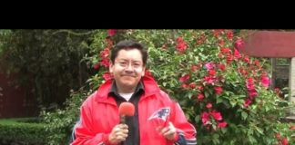 Abejas, otra especie amenazada