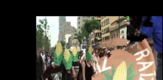 Carnaval del Maíz invitan a la Marcha Mundial contra Monsanto