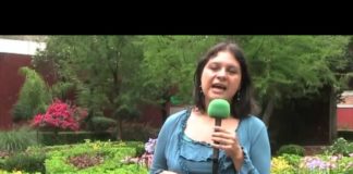 El trueque: alternativa de intercambios más justos