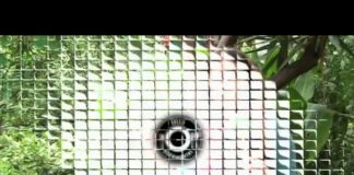 Productos chatarra inundarán telenovelas