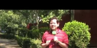 Buscan eliminar el 100% de autos en un plazo de 20 años