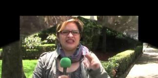 Reformas estructurales sólo dañan al país