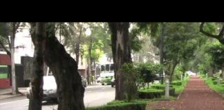 Esta ley busca cambiar el paradigma de persona-camión