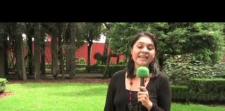 Experiencias internacionales apoyando proyectos sociales y sustentables