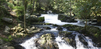 Ríos, manantiales y una cascada, resguardados de forma cooperativa
