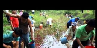 Desastres ambientales de este gobierno