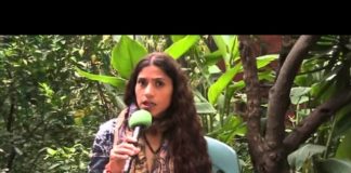 Por tercer año grandes empresas fomentan el hiperconsumo