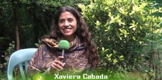 Lo importante es el juego, no el juguete