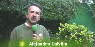 Dos años sin Consejo Consultivo Ciudadano en PROFECO