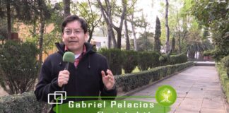 Hotel Paradisus destruye ecosistema de manglar