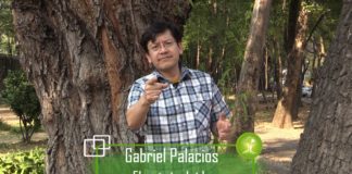 Gobierno de Sonora priva de agua a Yaquis