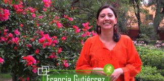 No nos quedemos quietos ante los nuevos senderos de resistencia