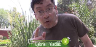 Invitan a reducir la huella ecológica consumiendo de manera inteligente