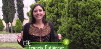 Catástrofe en la producción de café mexicano