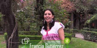 Acciones 4D por el maíz nativo mexicano