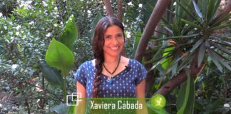 Regulación mexicana de comida chatarra ha sido inútil