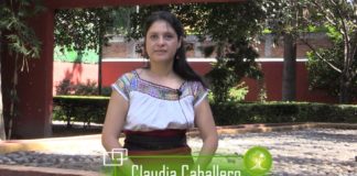 Sistema económico imperante, principal destructor de la vida