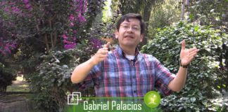 COP21: El planeta espera soluciones concretas frente al cambio climático