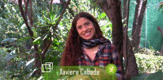 Evitemos fortalecer el consumismo durante el Buen Fin