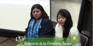 Invasiones y saqueo de recursos naturales dañan zona Chimalapa