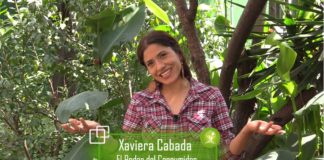 Comer sin sufrir en fiestas de diciembre