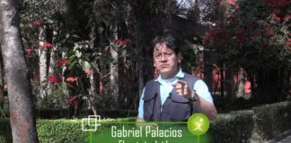 Cop 21 muy tibia contra el cambio climático