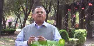 Importante integrar la economía social y solidaria a la nueva constitución CDMX