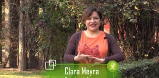 Necesario que sociedad participe en la Constitución de la CDMX